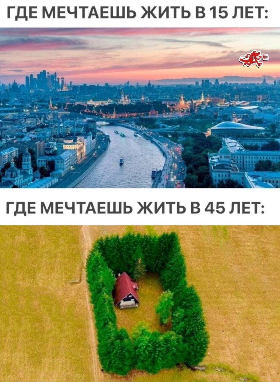 Смешные картинки