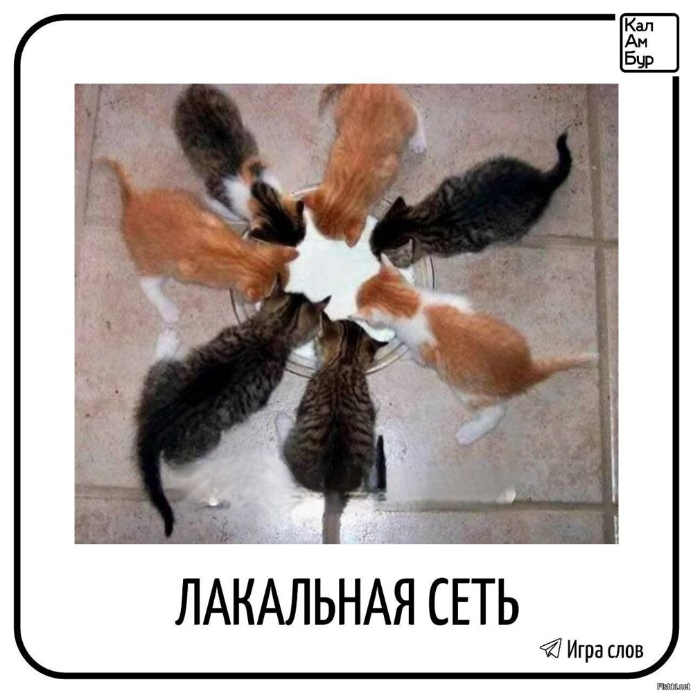 Солянка