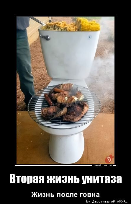 Вторая жизнь унитаза