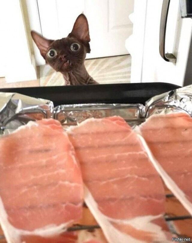 И это всё мне