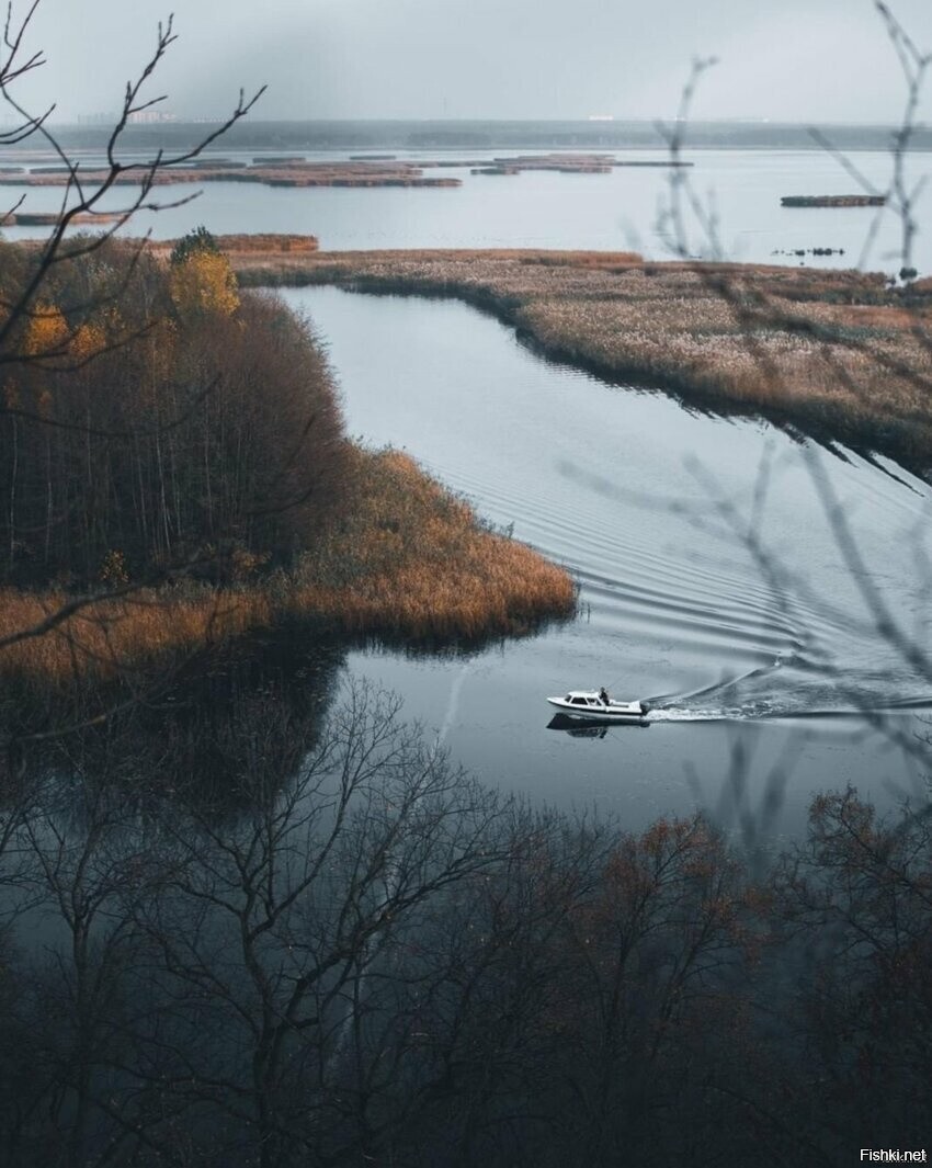 Солянка