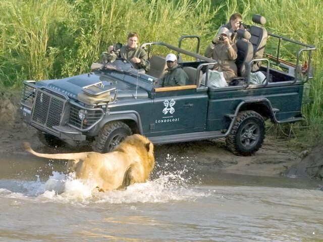 АвтоВсячина