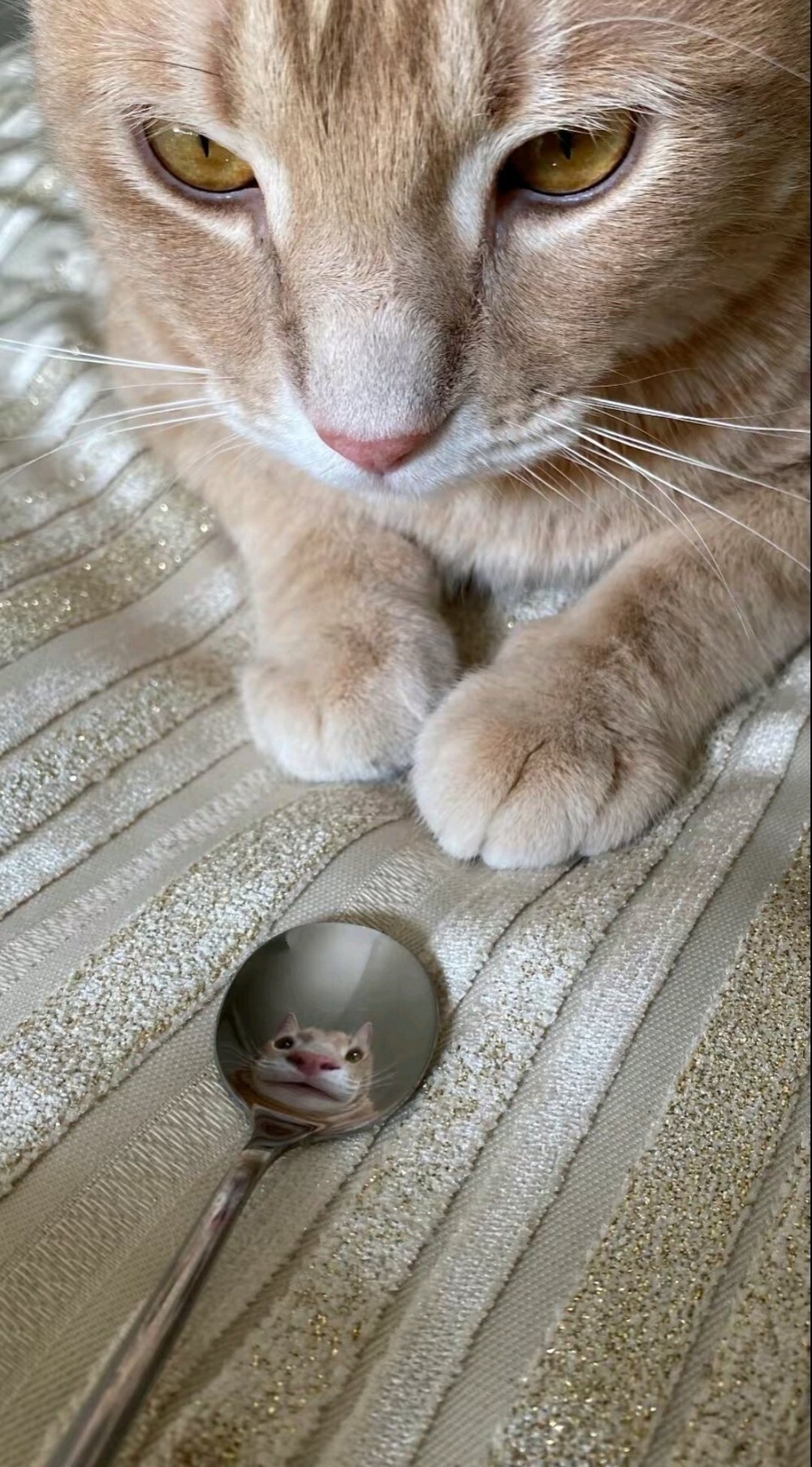На общую тему 