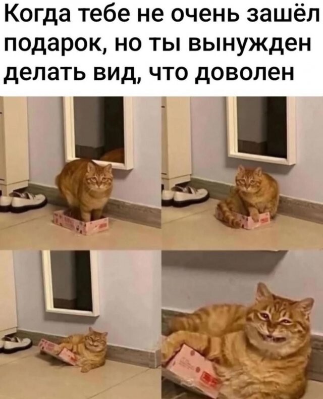 Скрины из соцсетей