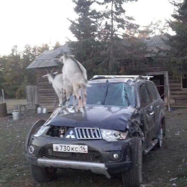 Скрины из соцсетей