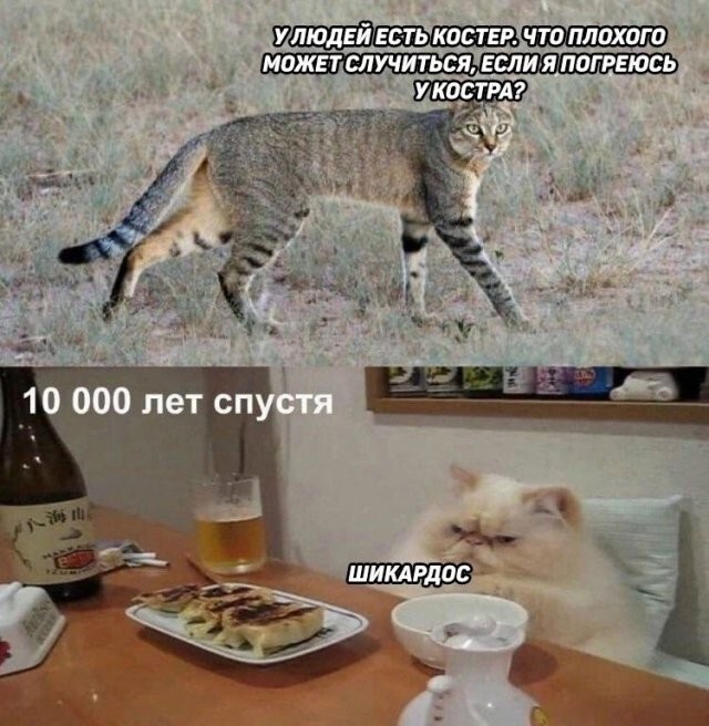 Скрины из соцсетей