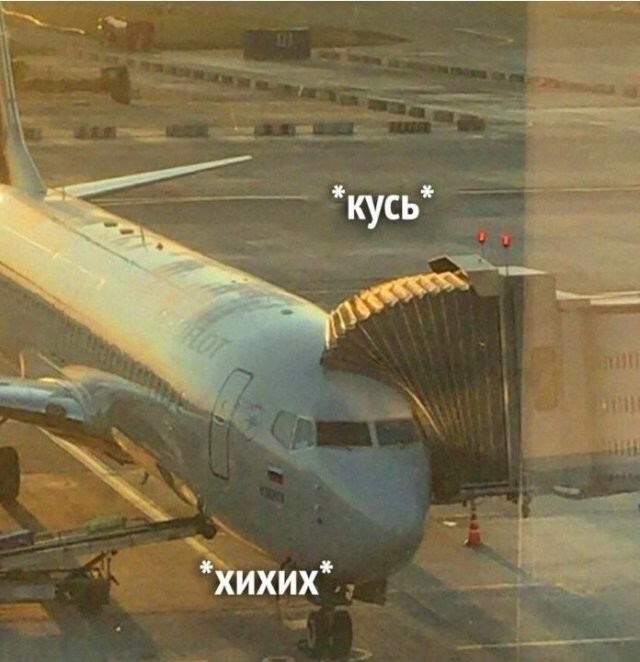 Скрины из соцсетей