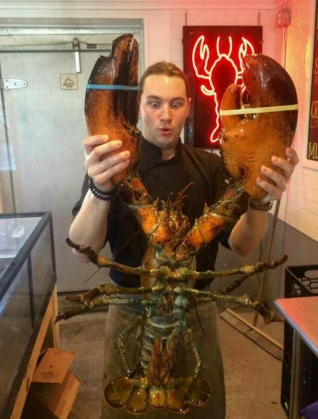 Намешалось