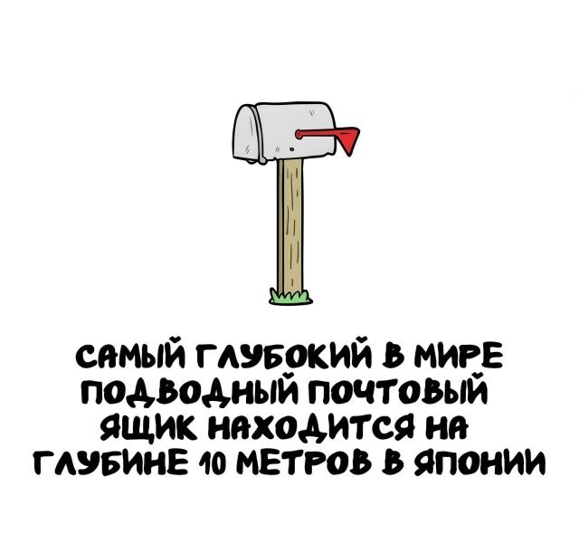 А вдруг ты не знал…