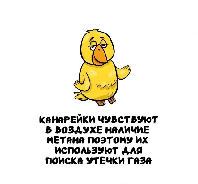 А вдруг ты не знал…