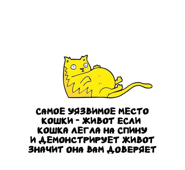 А вдруг ты не знал…