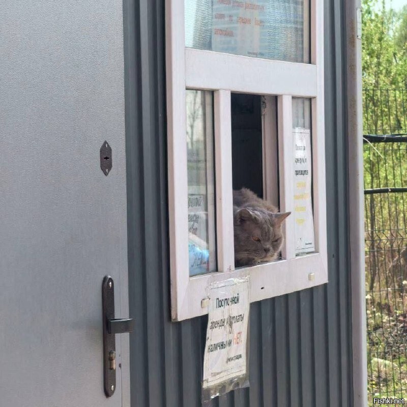 В ЖК «Измайловский лес» работает самый бдительный охранник)