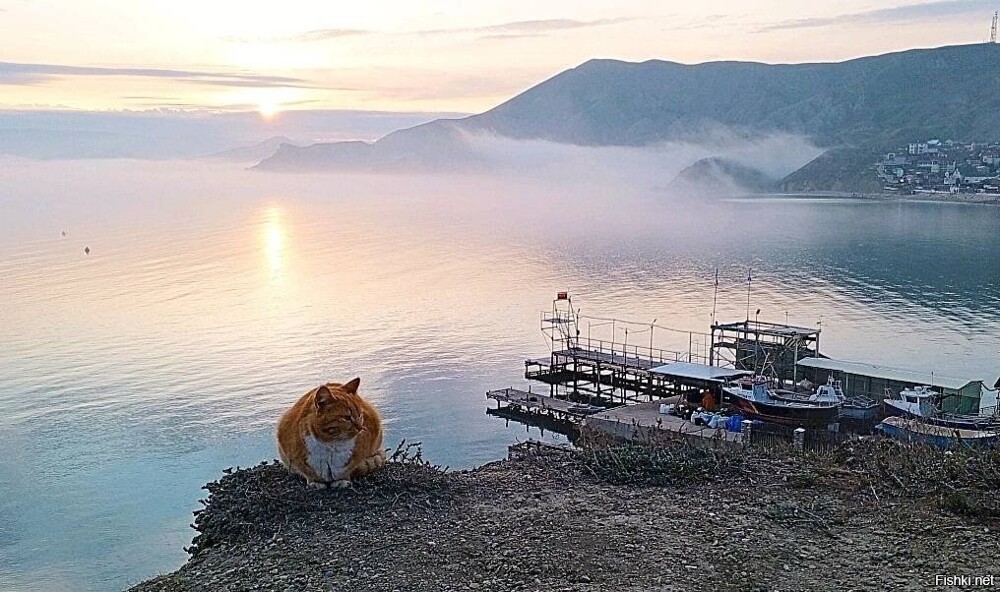Крым
