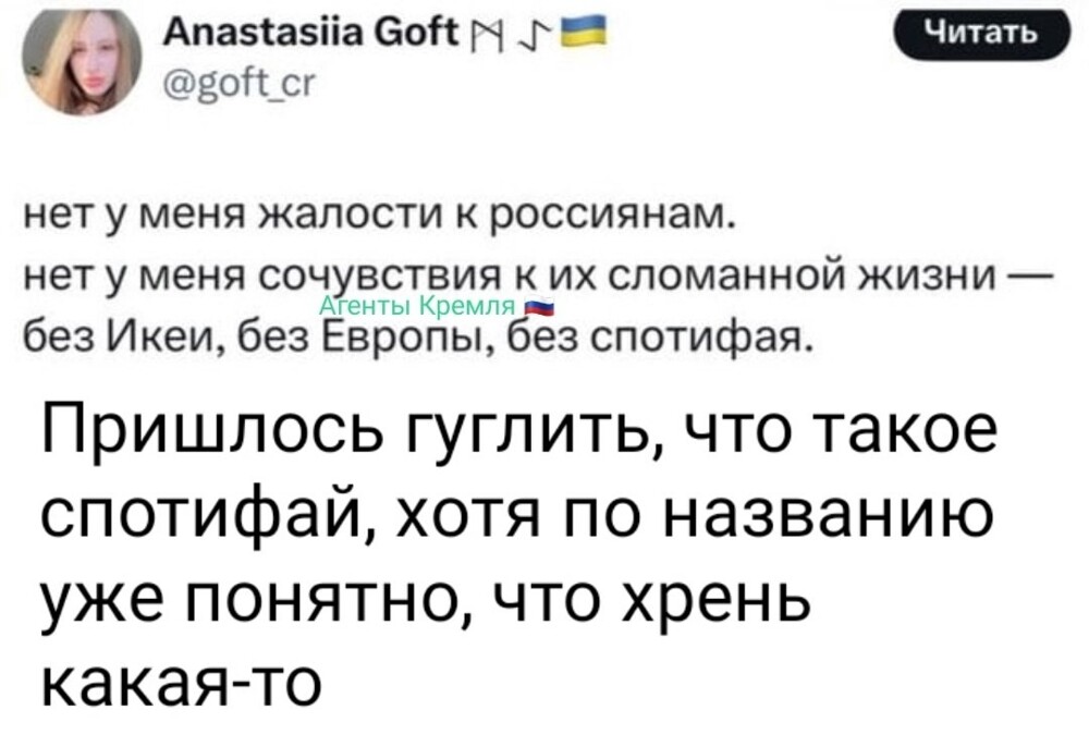 Как же нам жить без Икеи и спотифая?