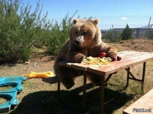 Солянка