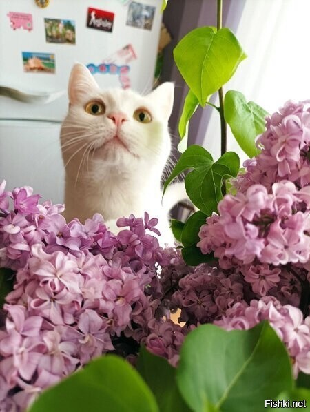 Доброе утро