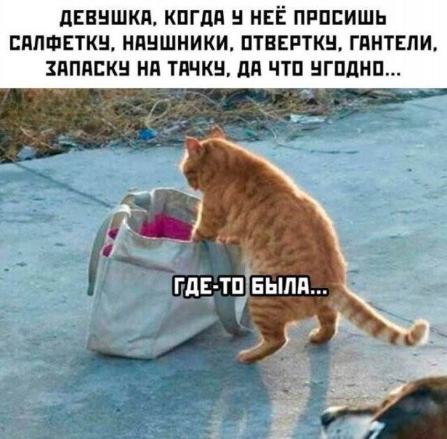 Скрины из соцсетей