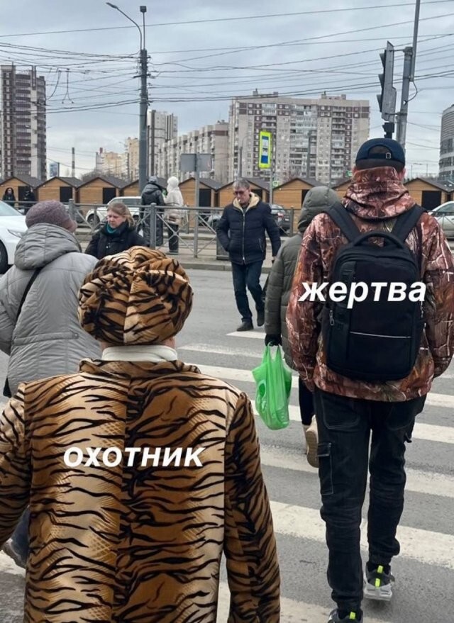 Скрины из соцсетей
