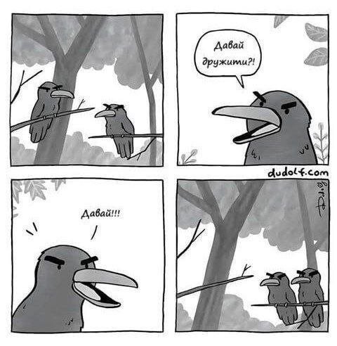 Скрины из соцсетей