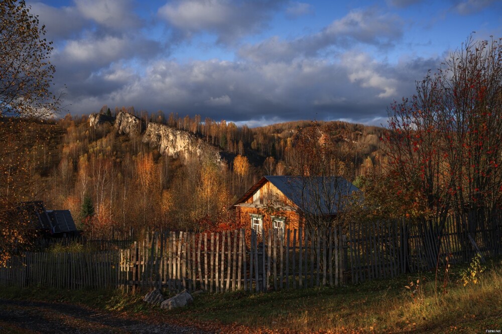 Солянка