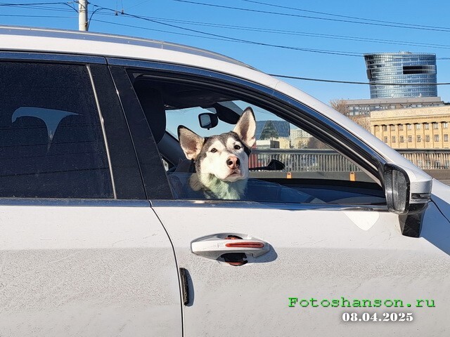 АвтоВсячина