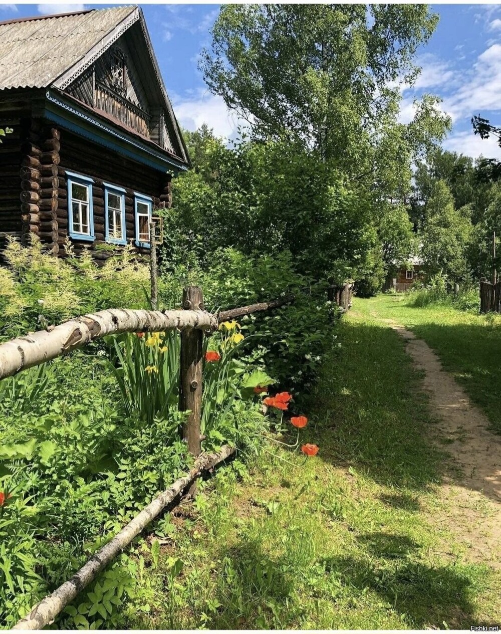 Солянка