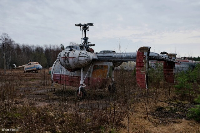 Им бы в небо...                           © Артëм Хохолев