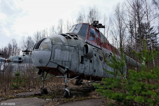 Им бы в небо...                           © Артëм Хохолев