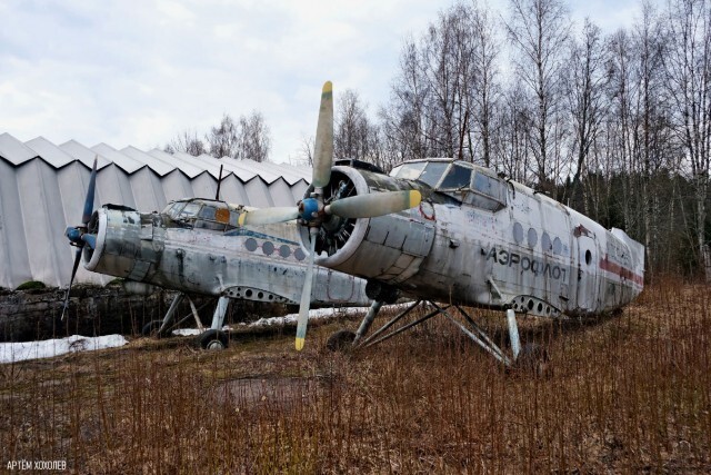 Им бы в небо...                           © Артëм Хохолев