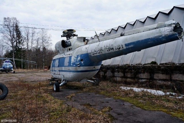 Им бы в небо...                           © Артëм Хохолев