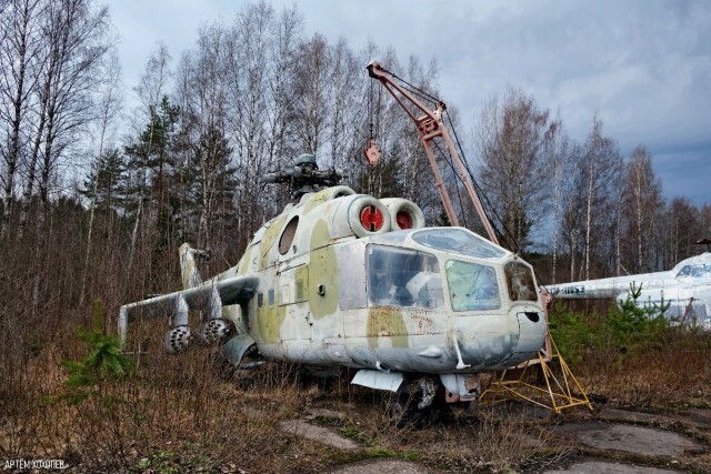 Им бы в небо...                           © Артëм Хохолев