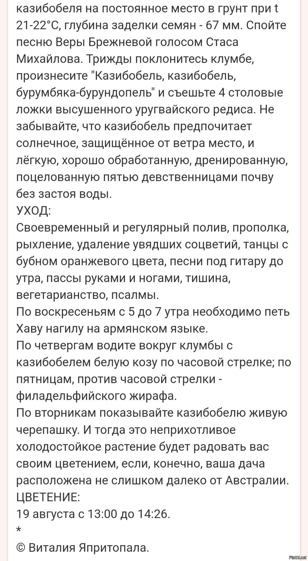 Солянка