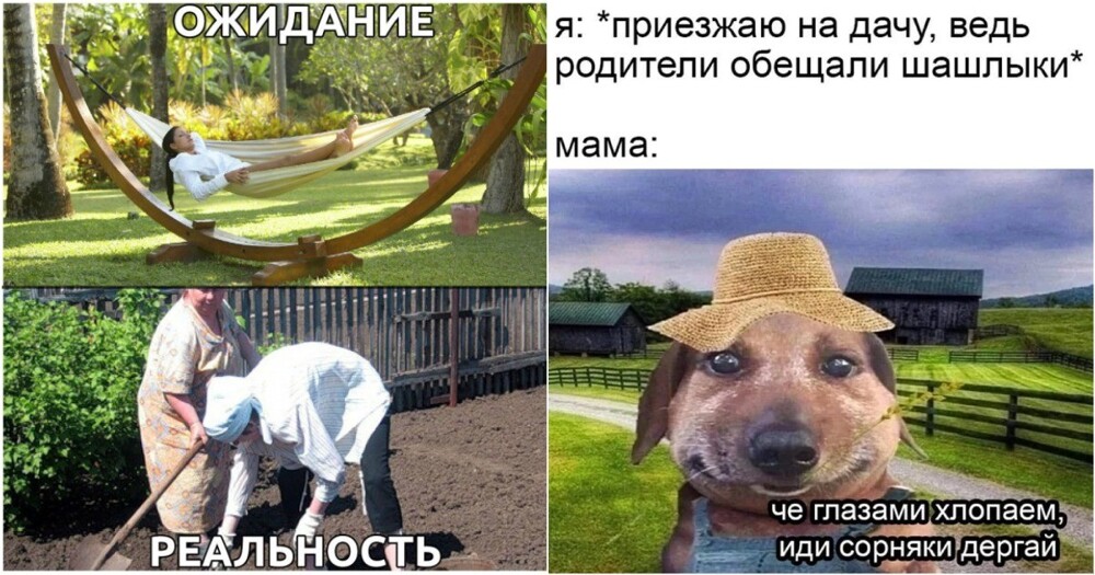 Парня пригласили на запуск нового стартапа, но не уточнили детали