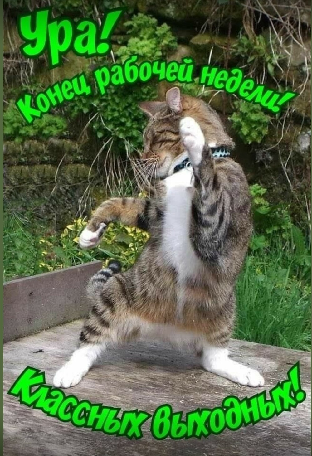Новости нашего мира