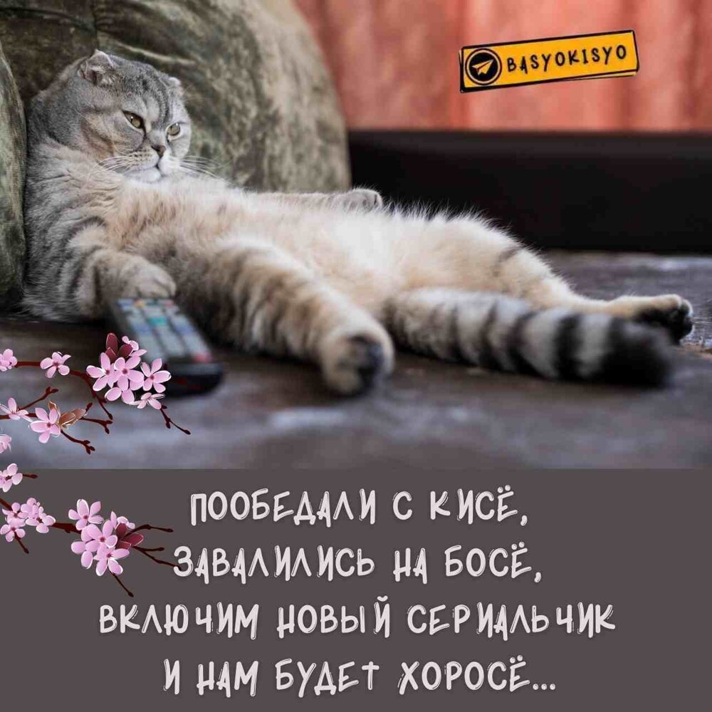 Новости нашего мира