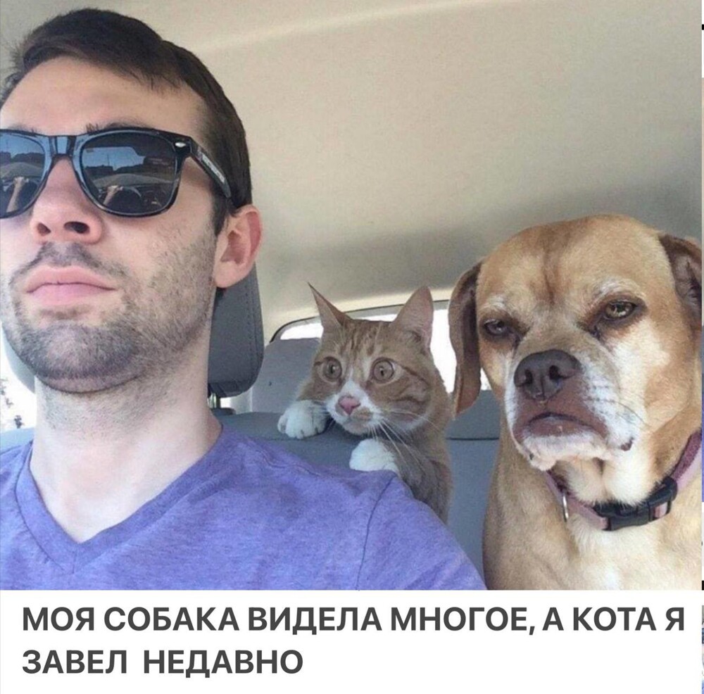 Новости нашего мира