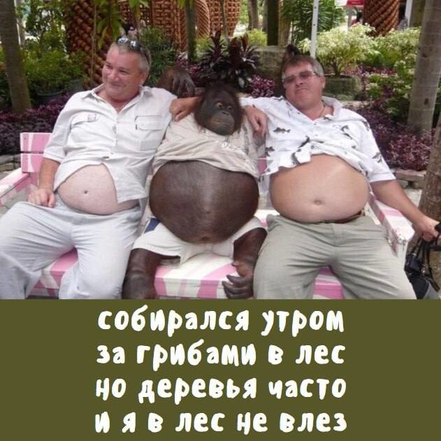 Новости нашего мира