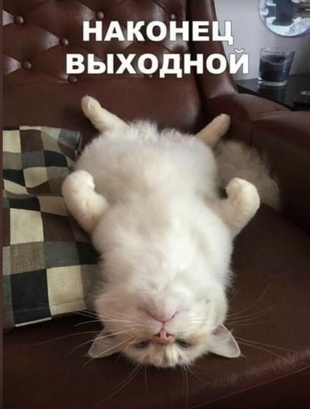 Приятных выходных.