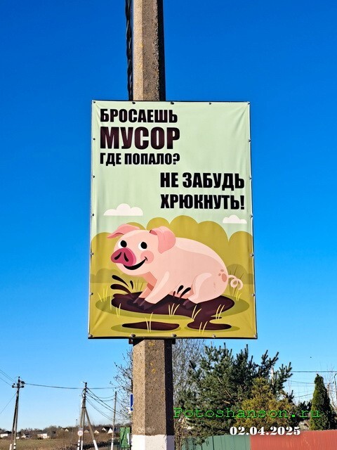 ФотоВсячина