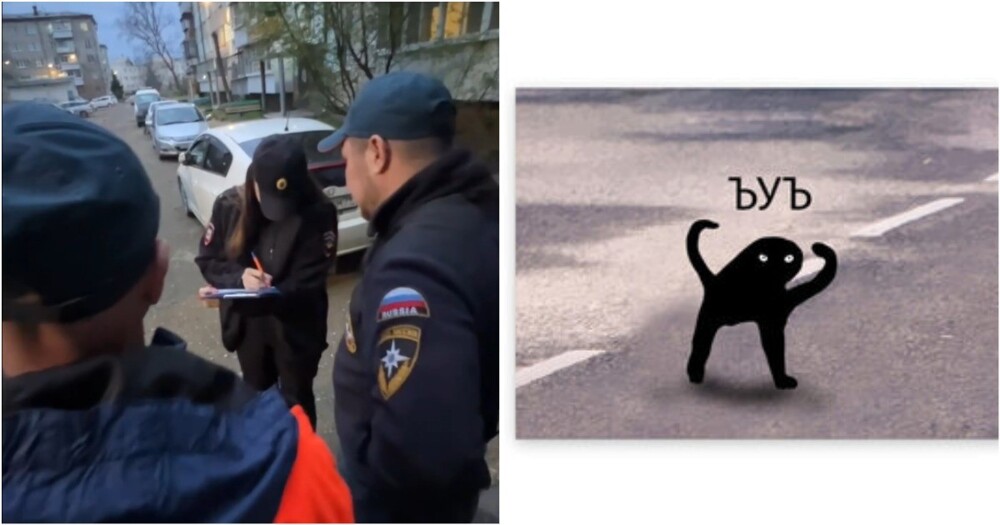 В Биробиджане кот попытался избавиться от хозяек, но помешало МЧС