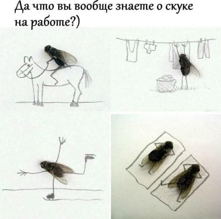 Новости нашего мира
