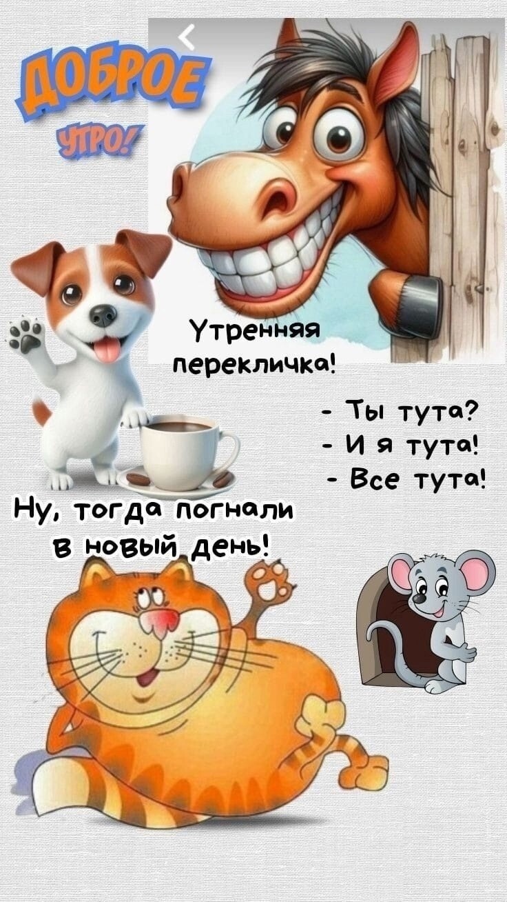 Привет, агрессоры!!! Всем доброго утра и отличного дня!!!