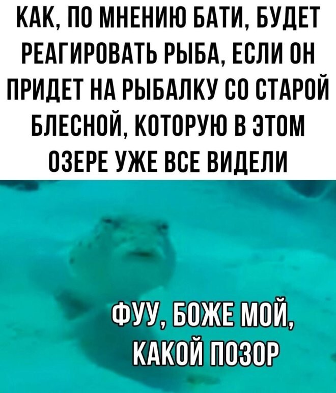 Смешные картинки