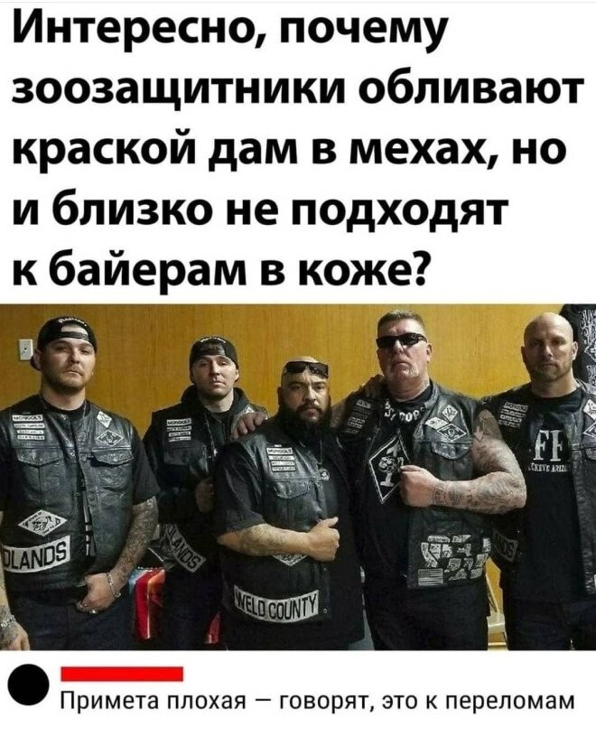 Смешные картинки