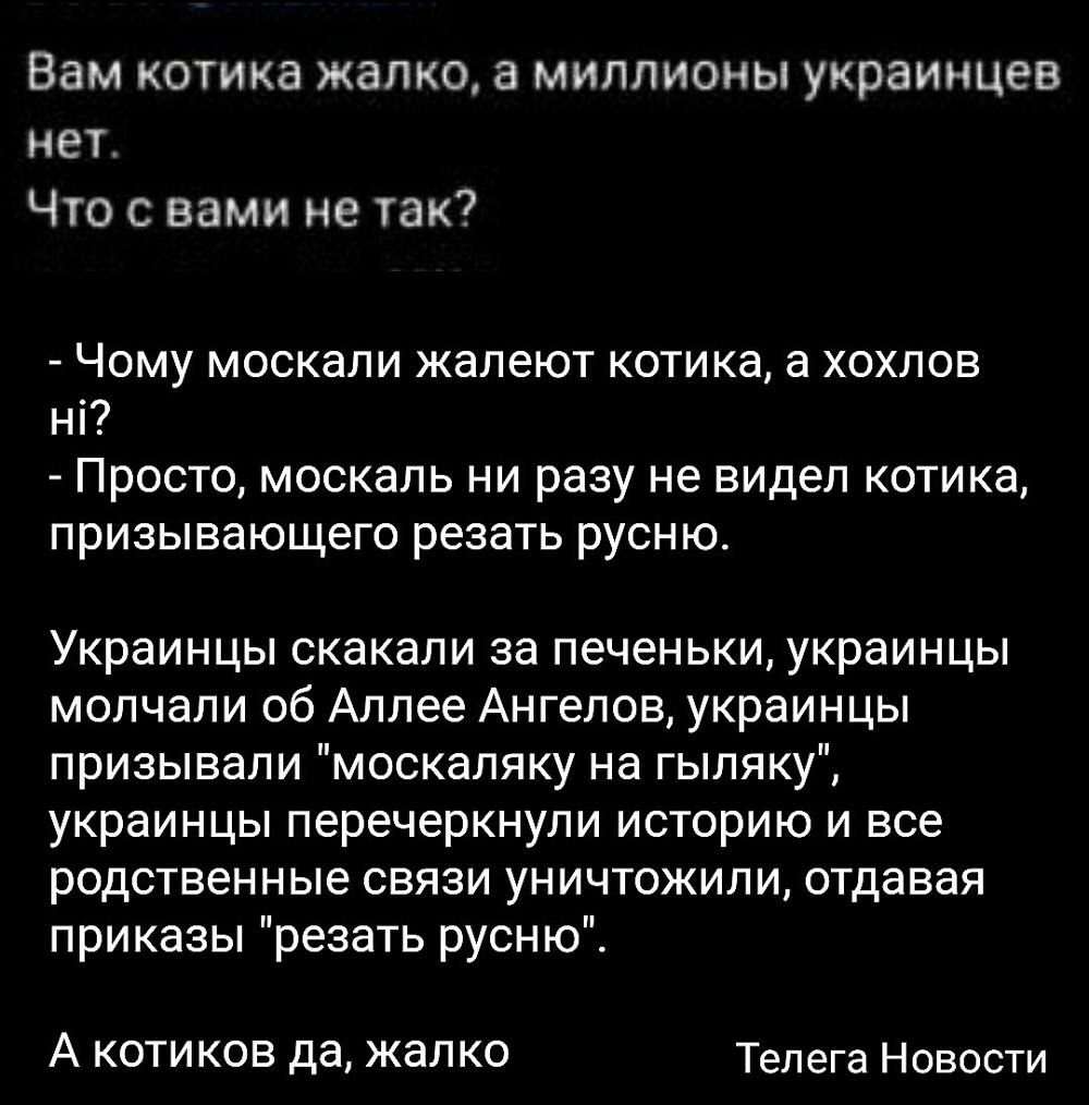 Политические картинки - 3286 Политические картинки - 3286