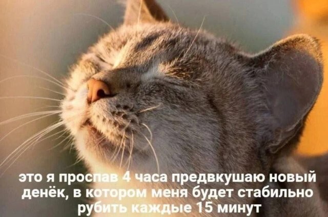 Не ищите здесь смысл. Здесь в основном маразм