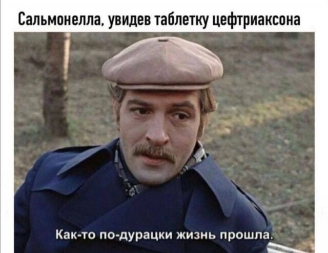 Не ищите здесь смысл. Здесь в основном маразм