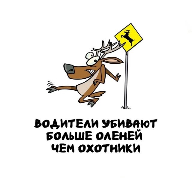 А вдруг ты не знал…
