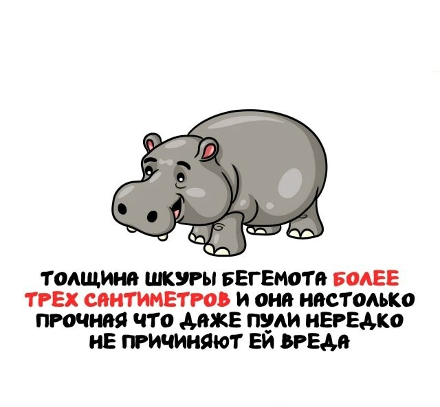 А вдруг ты не знал…