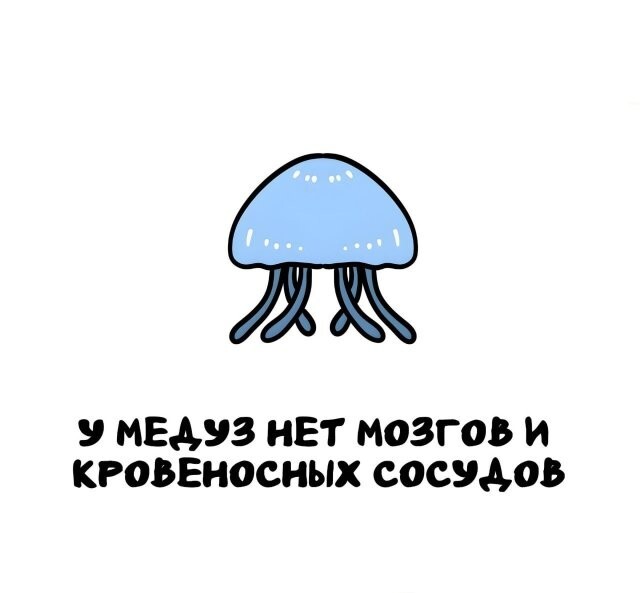 А вдруг ты не знал…